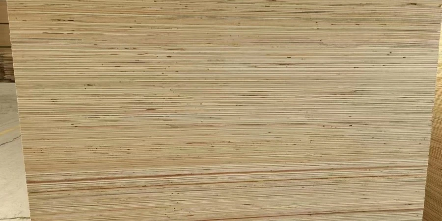 imveliso-1-1 imveliso-1-1