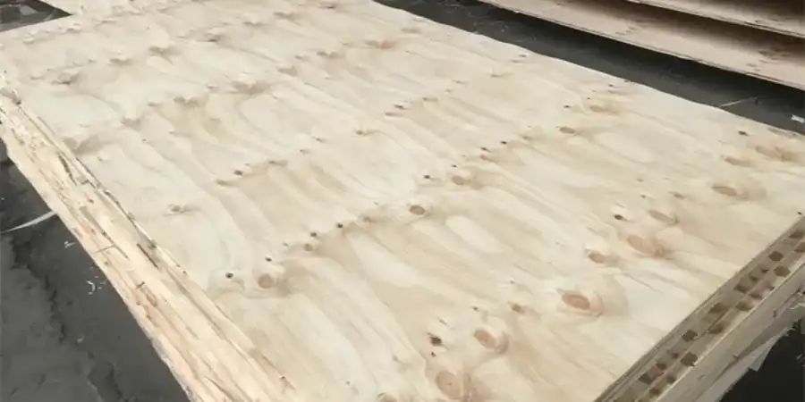 imveliso-1-1 imveliso-1-1