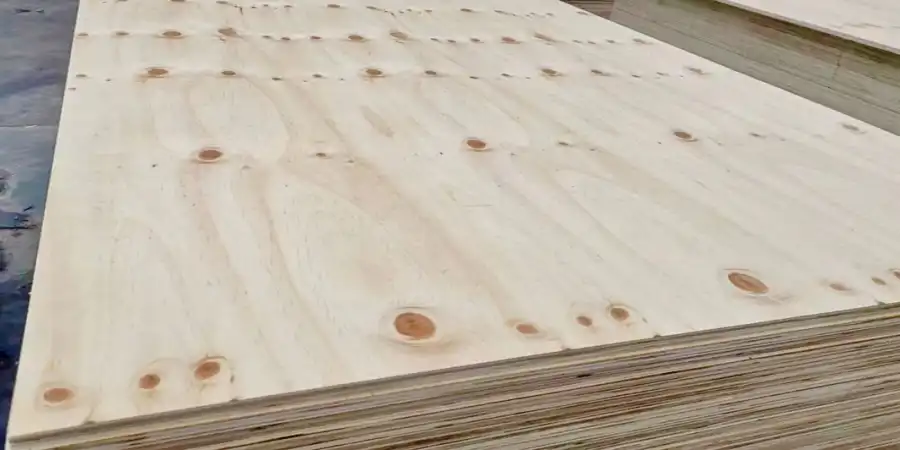 imveliso-1-1 imveliso-1-1