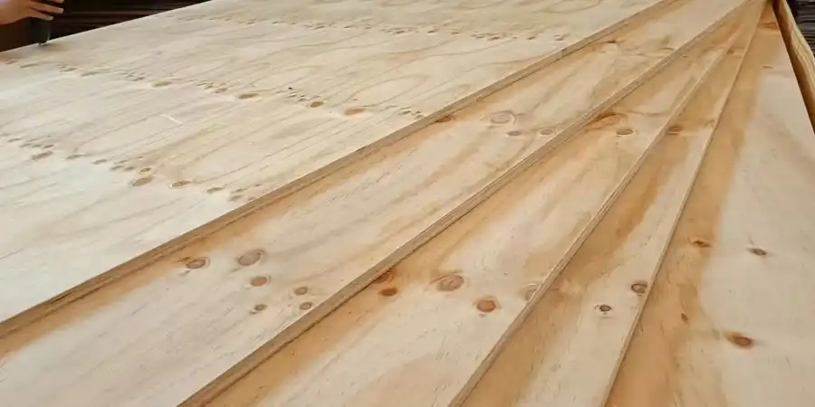 imveliso-1-1 imveliso-1-1