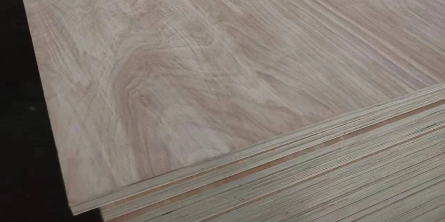 imveliso-1-1 imveliso-1-1