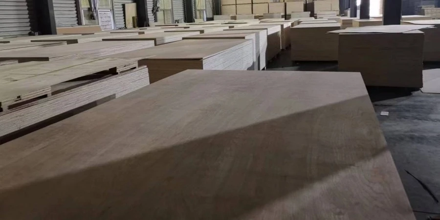 imveliso-1-1 imveliso-1-1